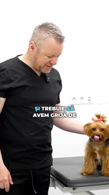 Medic veterinar cu un cățeluș la Vetforpet